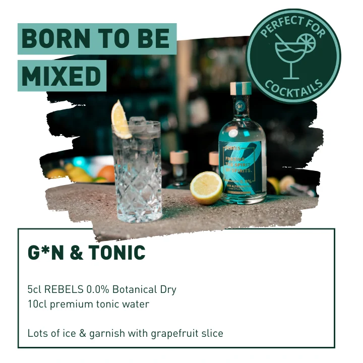 REBELS 0.0% Gift Pack - Gin & Tonic