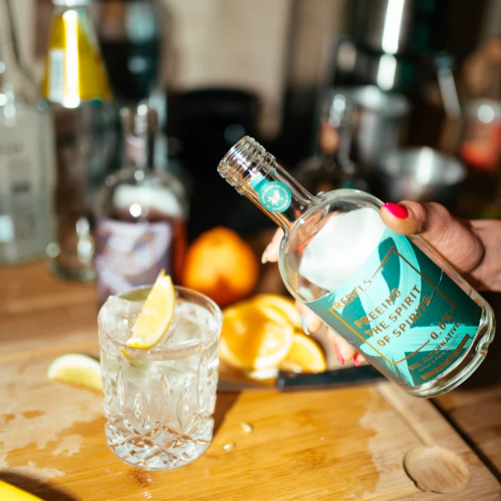 REBELS 0.0% G & T - Ready to Mix Set (alcohol-free)
