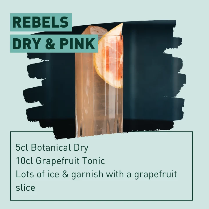 REBELS 0.0% BOTANICAL DRY (alcohol-free botanical spirit)