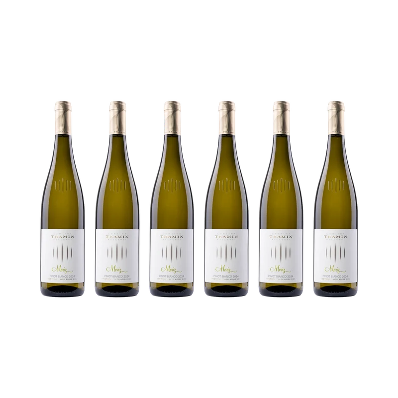 Moriz Weißburgunder – 2024