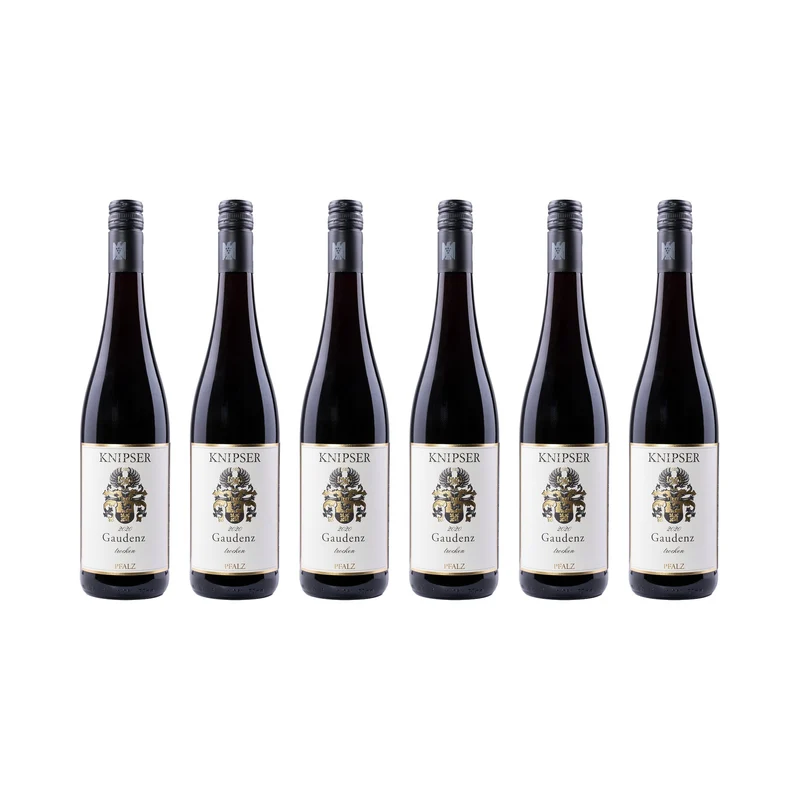 Gaudenz – 2020