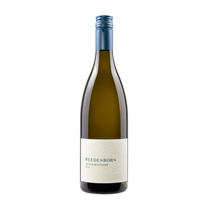 Grauburgunder – 2024