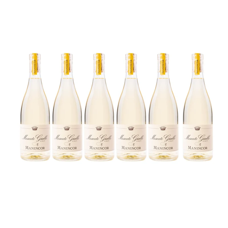 Moscato Giallo – 2024