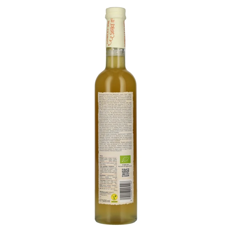 Höllinger Bio Sirup Ingwer 0,5l