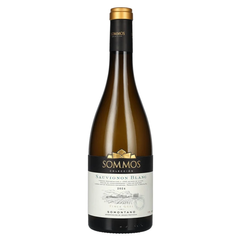SOMMOS Colección Sauvignon Blanc Somontano D.O.P 2024 13,5% Vol. 0,75l