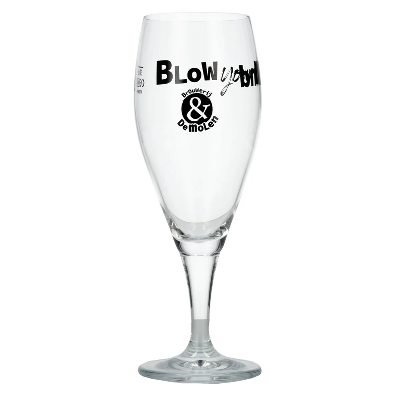 De Molen Bierglas 0,3l
