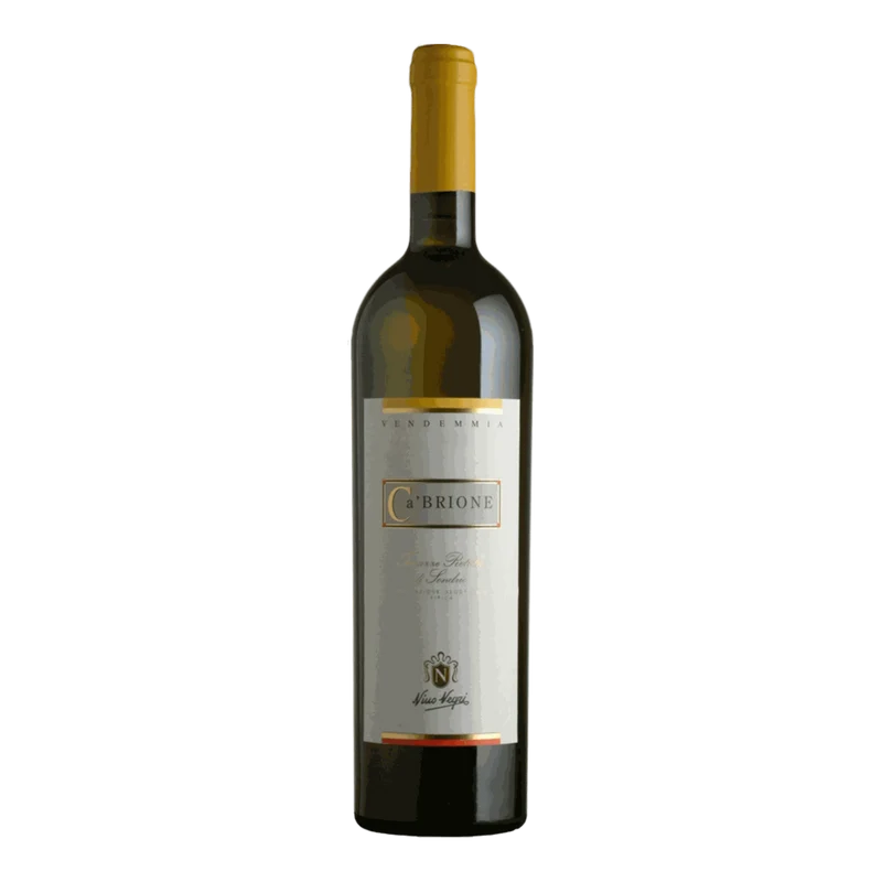 Nino Negri Ca’ Brione 2023