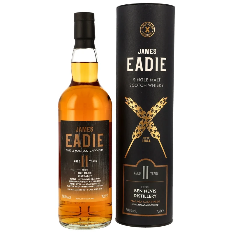 Ben Nevis 11 Jahre 2014/2025 - James Eadie #376945