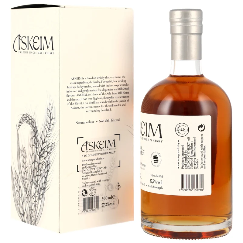 Smögen 8 Jahre 2017/2025- Askeim - Golden Promise Batch#2
