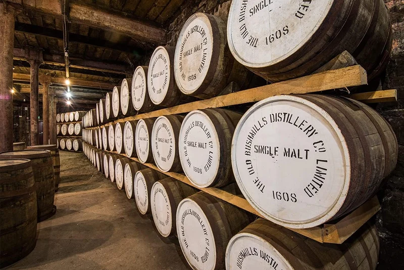 Bushmills Single Malt 10