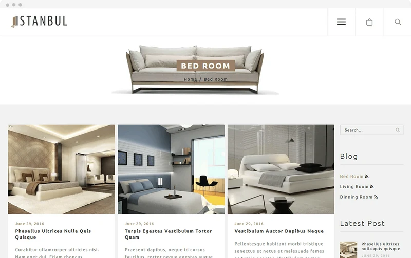 Grocery Store Istanbul Shopify Theme