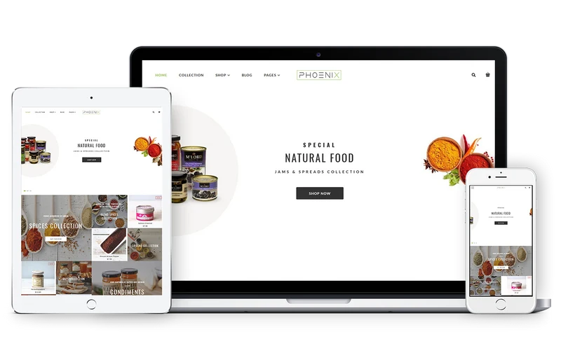 Health Shopify Theme - Phoenix