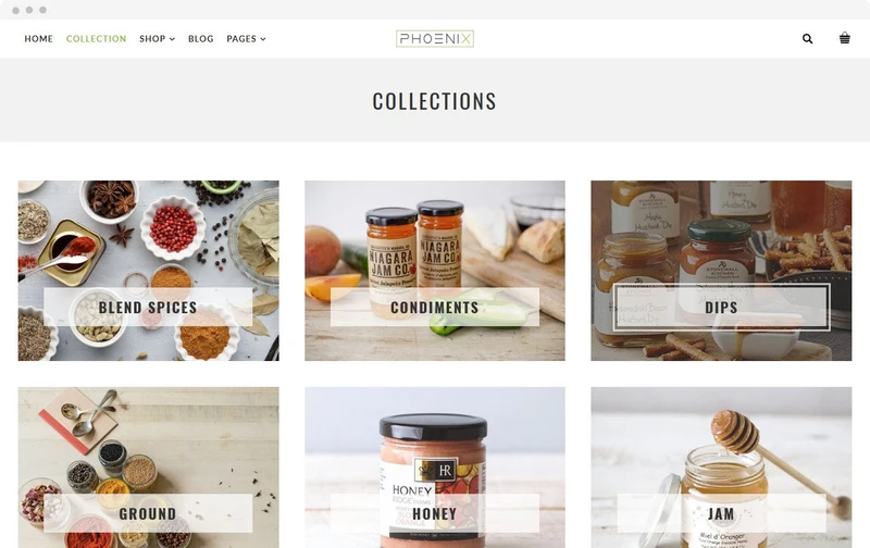 Health Shopify Theme - Phoenix